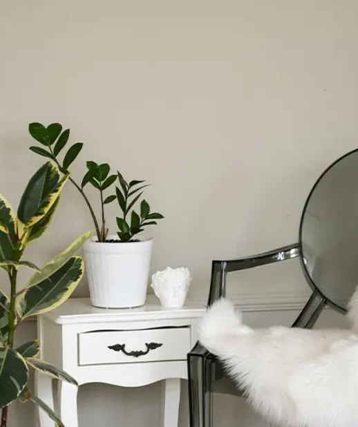 imgi_74_painting-services-518x618